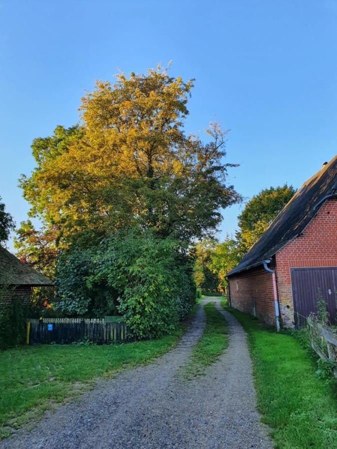 Ostssespitze Riepsdorf Exterior foto